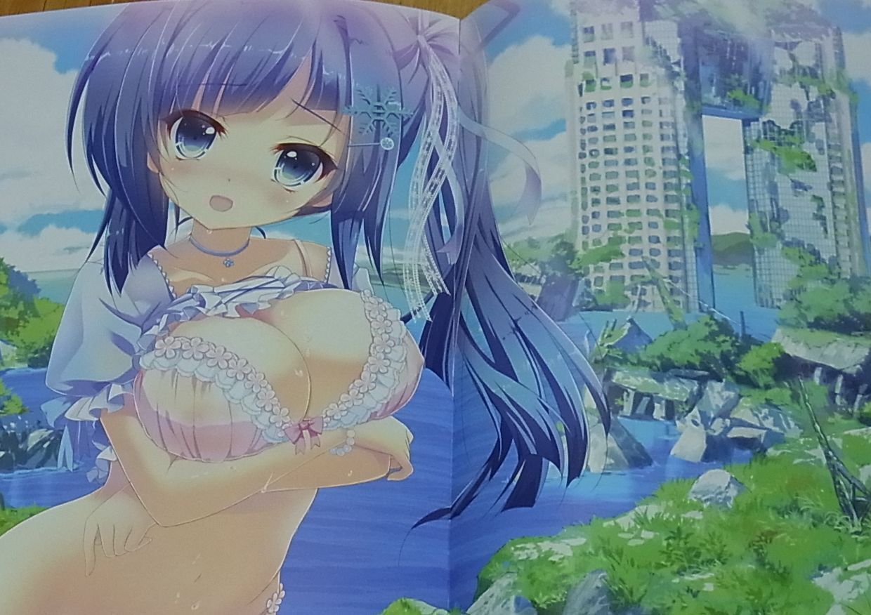 Ichirin Original Color Art Book Stellar 04 Rare 
