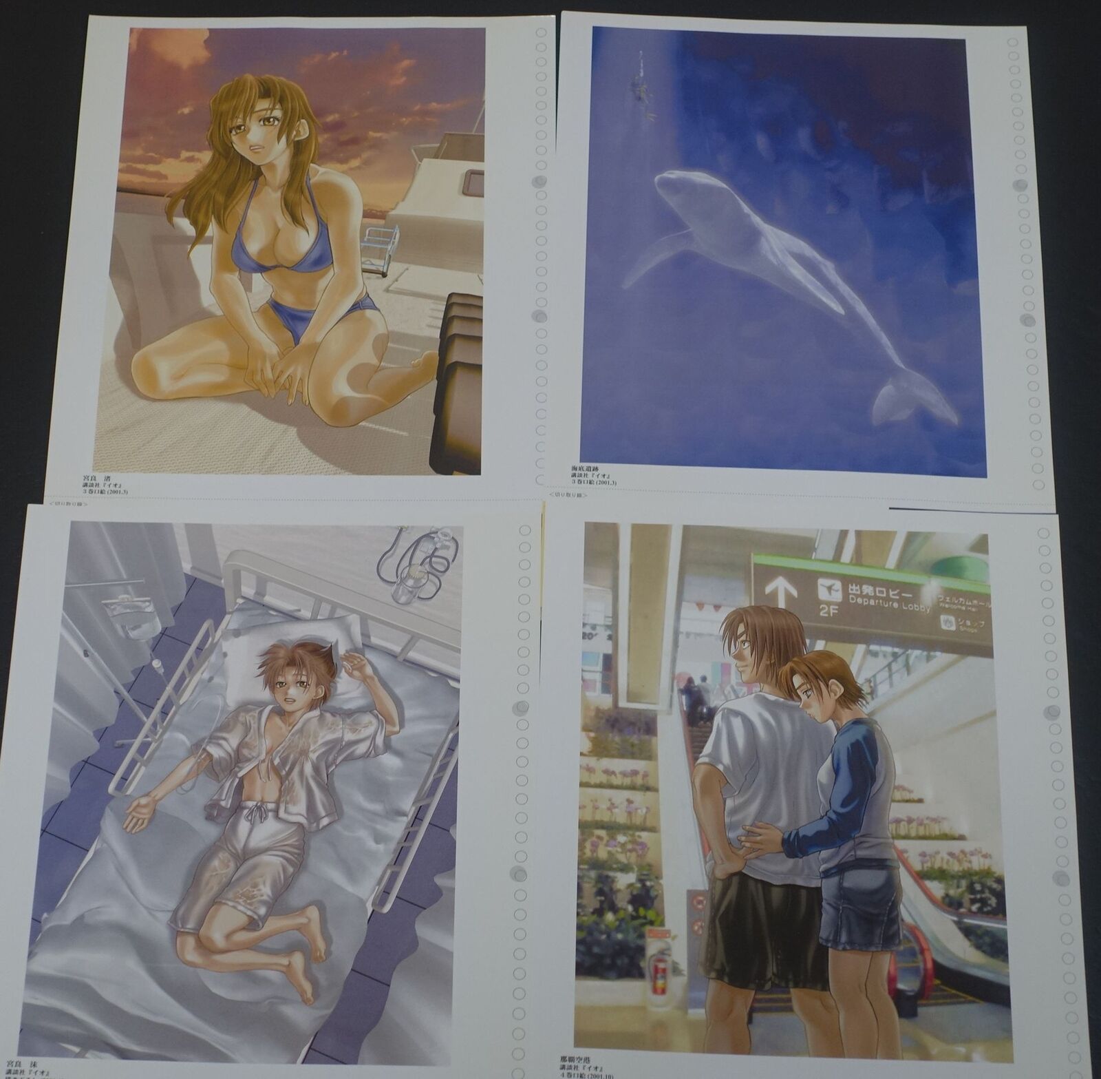 Koio Minato Reversible Art Sheet 8 Set IO Star Ocean 2 