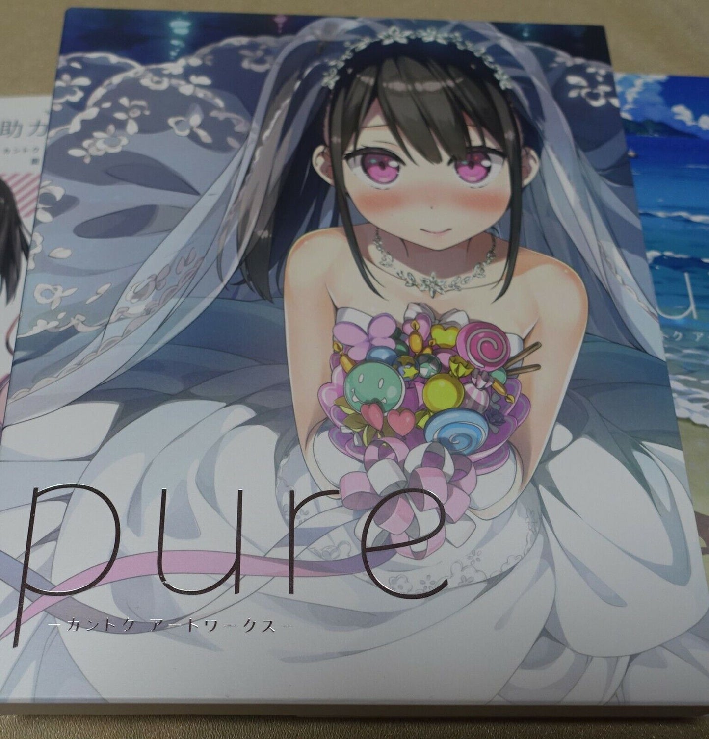 Kantoku Illustration Art Work Book Pure Limited Edition 