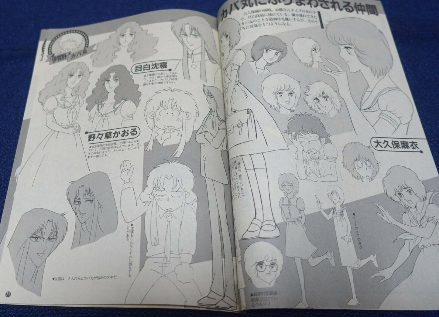 Cut Out Setting Art Article Igano Kabamaru 