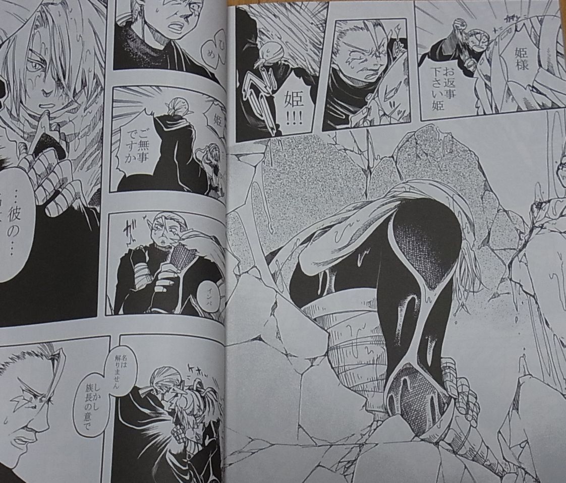 reef bread THE LEGEND OF ZELDA TIME OF OCARINA Fan Doujinshi Love StorY 1 & 2 