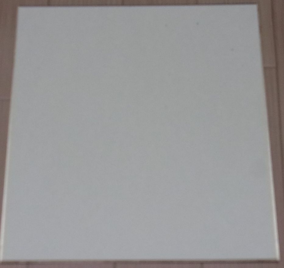 Kengo Saito Print Art Shikishi Board Original Character Rashinban 