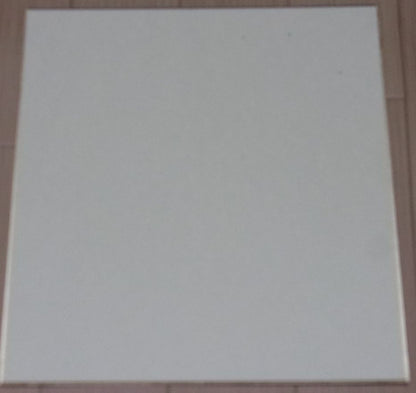 Kengo Saito Print Art Shikishi Board Original Character Rashinban 