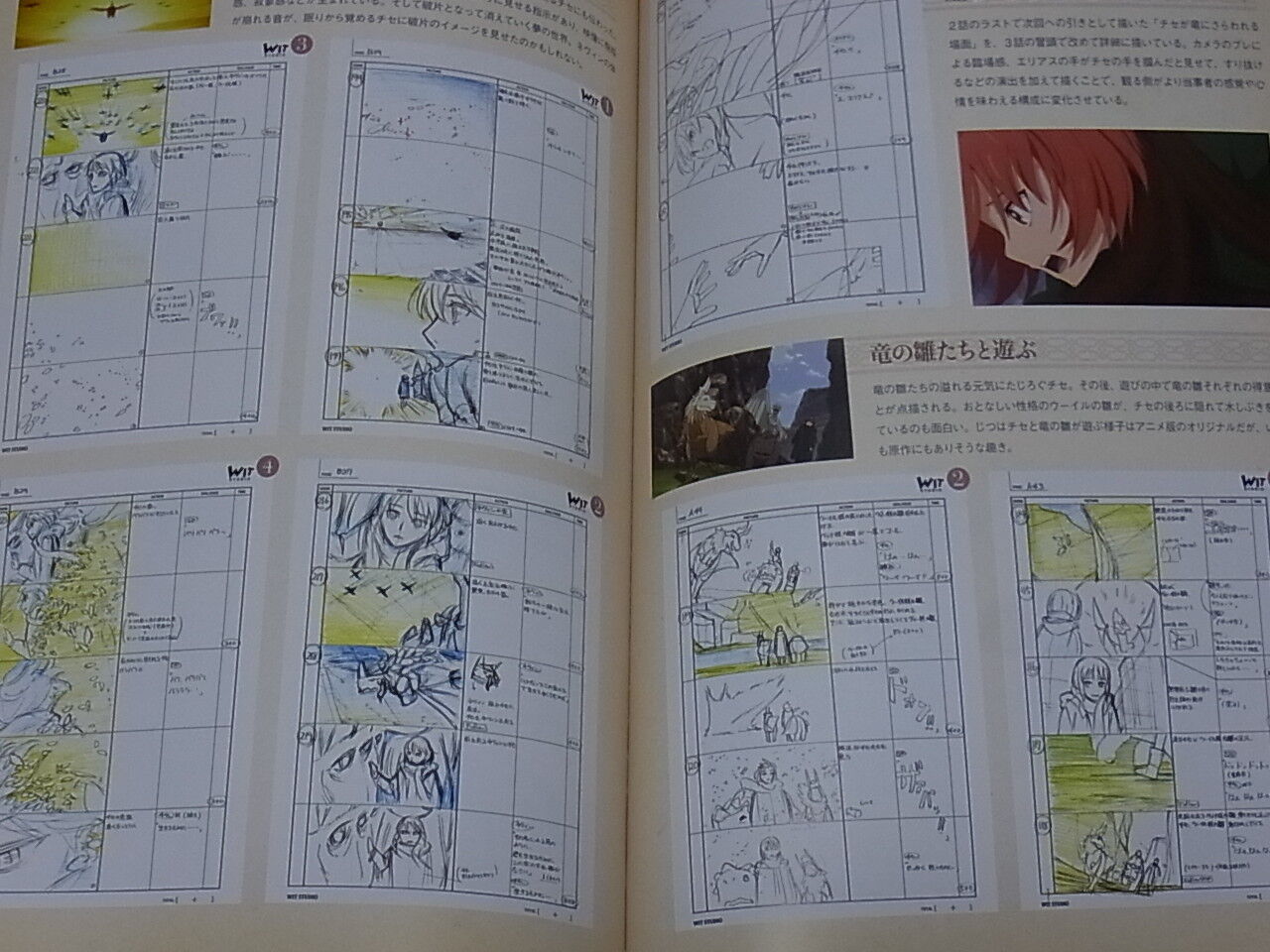 WIT STUDIO The Ancient Magus Bride Mahou Tsukai no Yome TV Animation Works 1st 