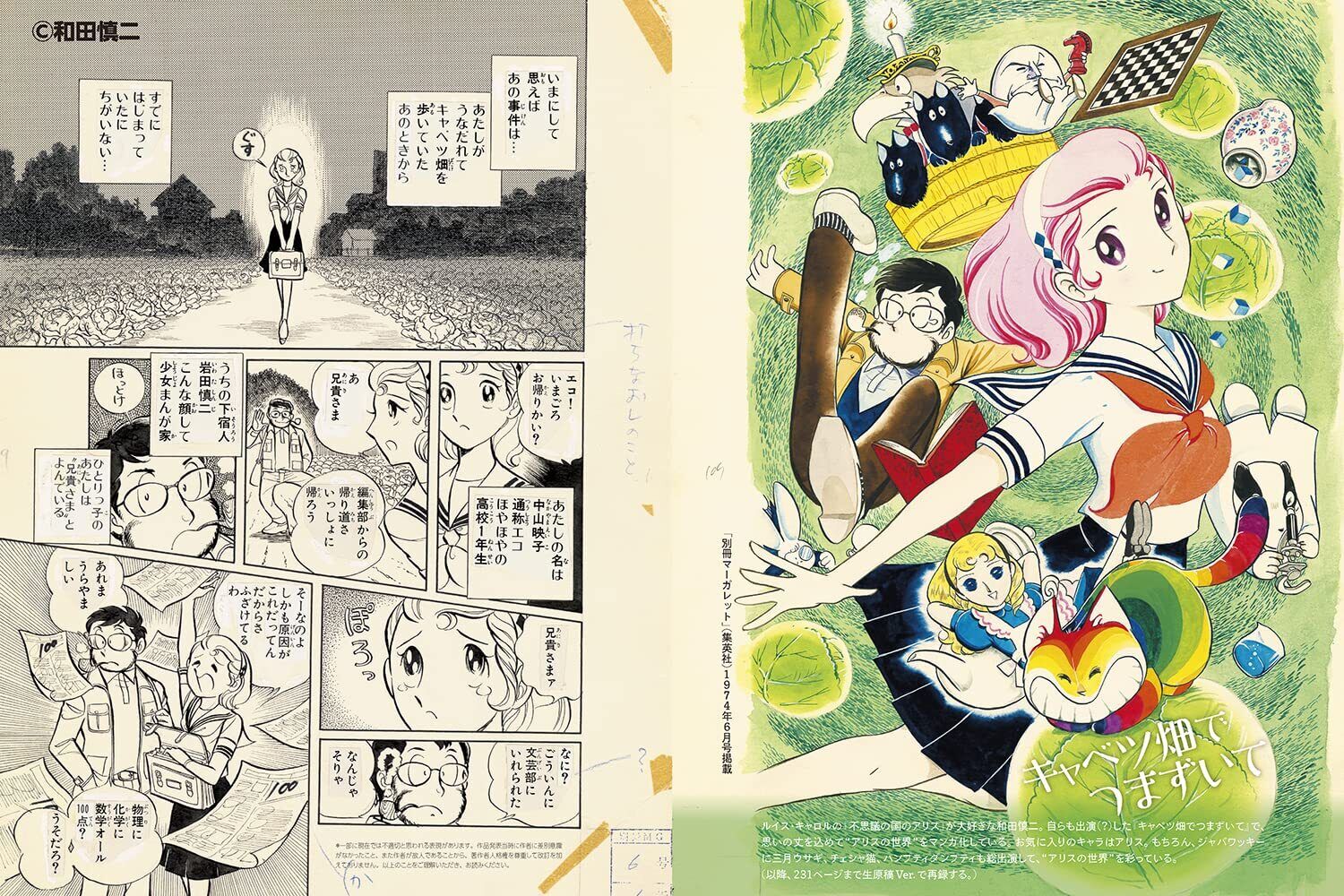 Shinji Wada ARTWORKS 