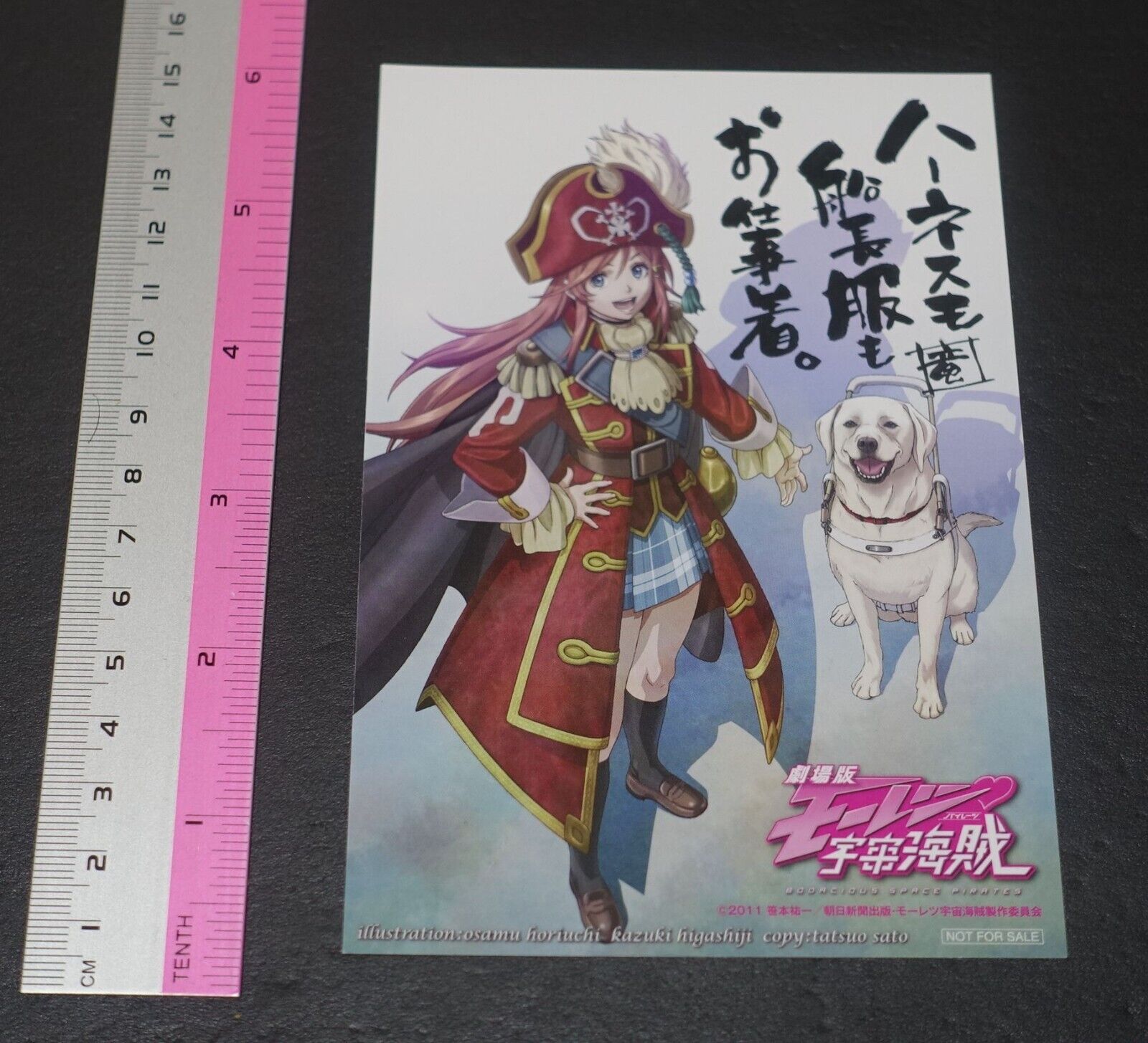 Bodacious Space Pirates Post Card 