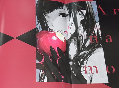 Pochi Iida Ane Naru Mono Poster Book with Clear File 