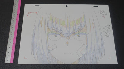 SSSS.GRIDMAN Reproduction Key Frame Art Sheet Anti 