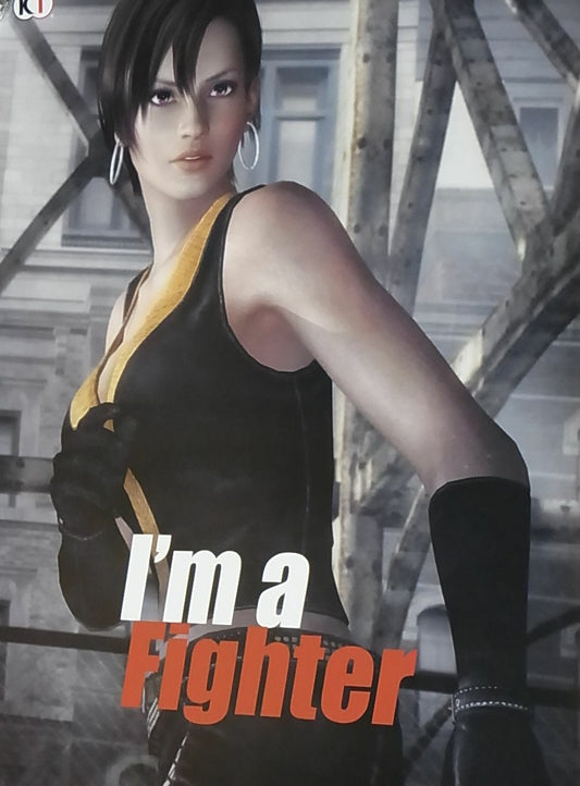 Dead Or Alive 5 Privilege Item I'm a Fighter Poster B2 Big Size Lisa 
