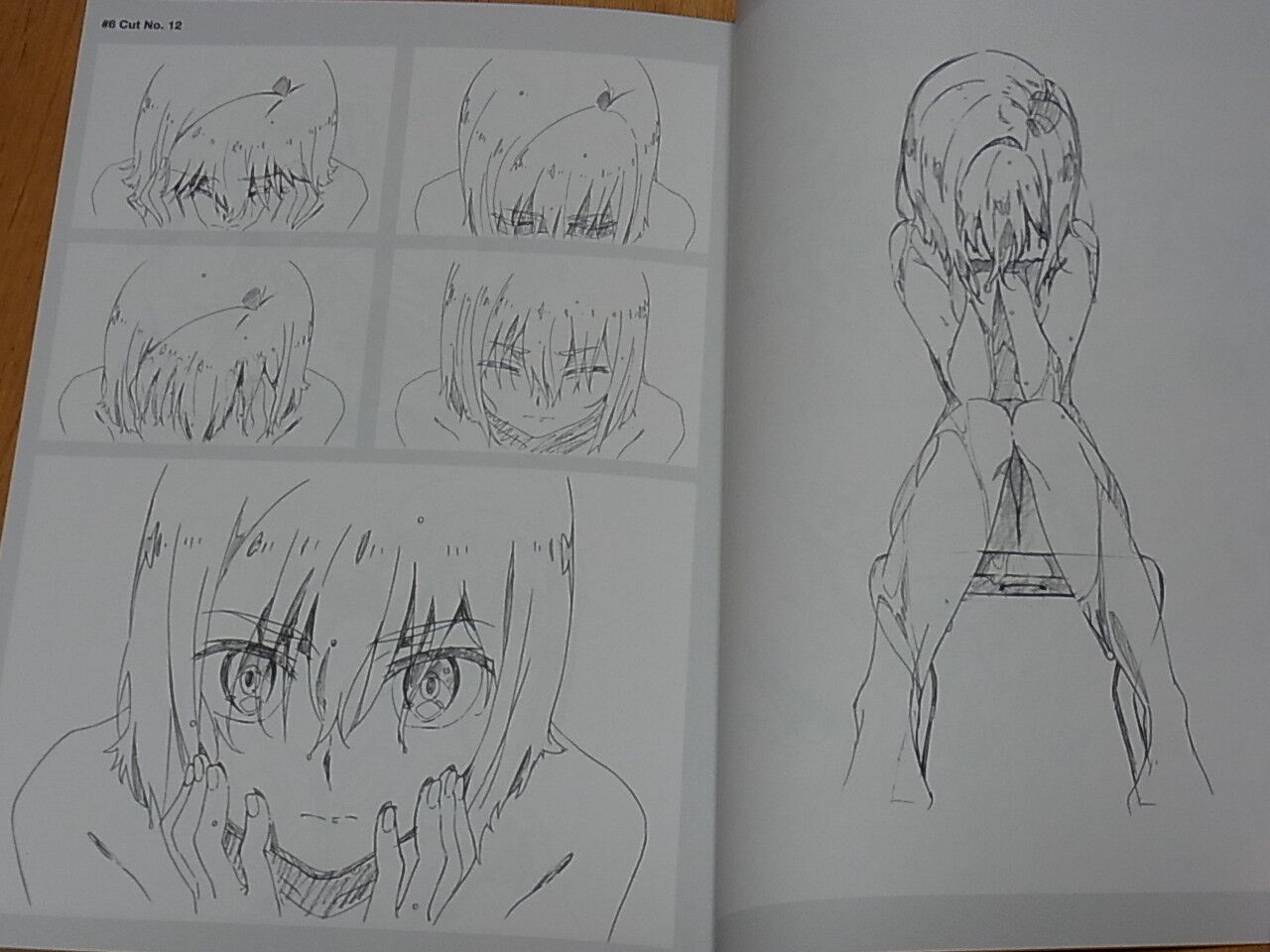 Darling in the Franxx Key Frame Art Book vol.02 94 page 