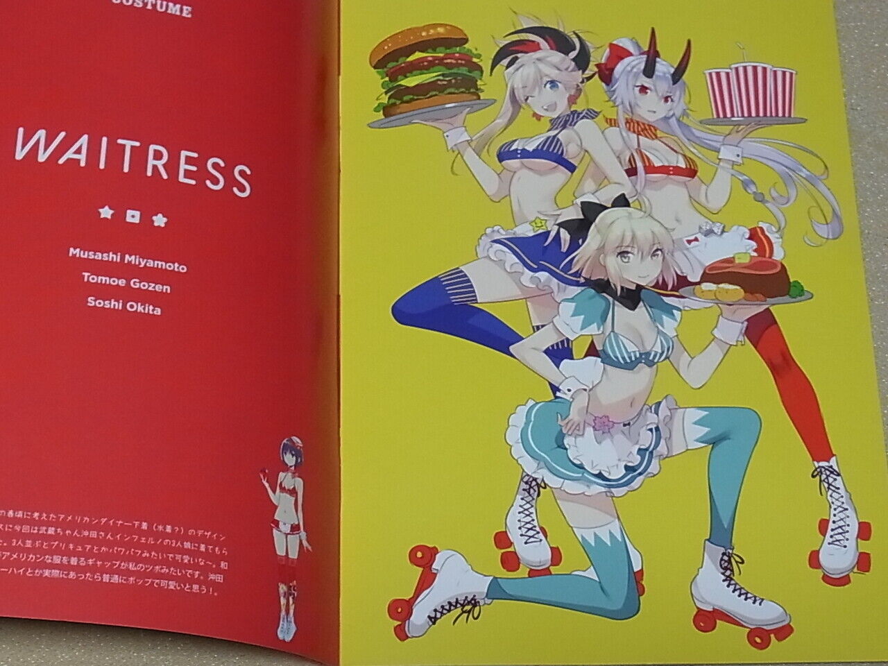 ERIMO Fate FGO Color Fan Art Book COSTUME Fate Grand Order 