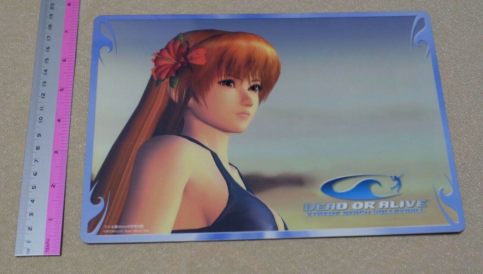 Dead or Alive Xtreme PVC Reversible Art Board Kasumi & Lisa 