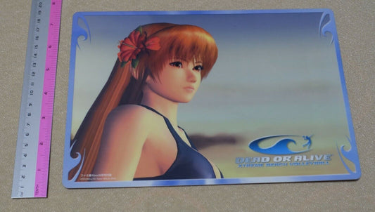 Dead or Alive Xtreme PVC Reversible Art Board Kasumi & Lisa 