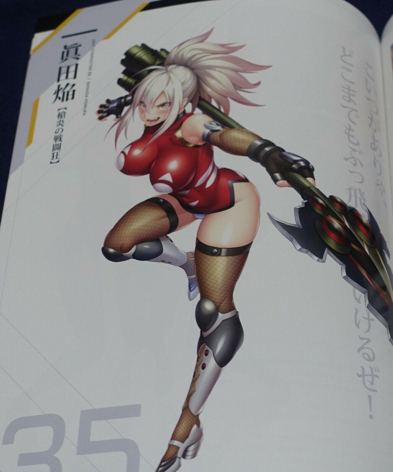 Lilith TAIMANIN RPGX CHARACTER VISUAL ART BOOK Vol.04 ASAGI 