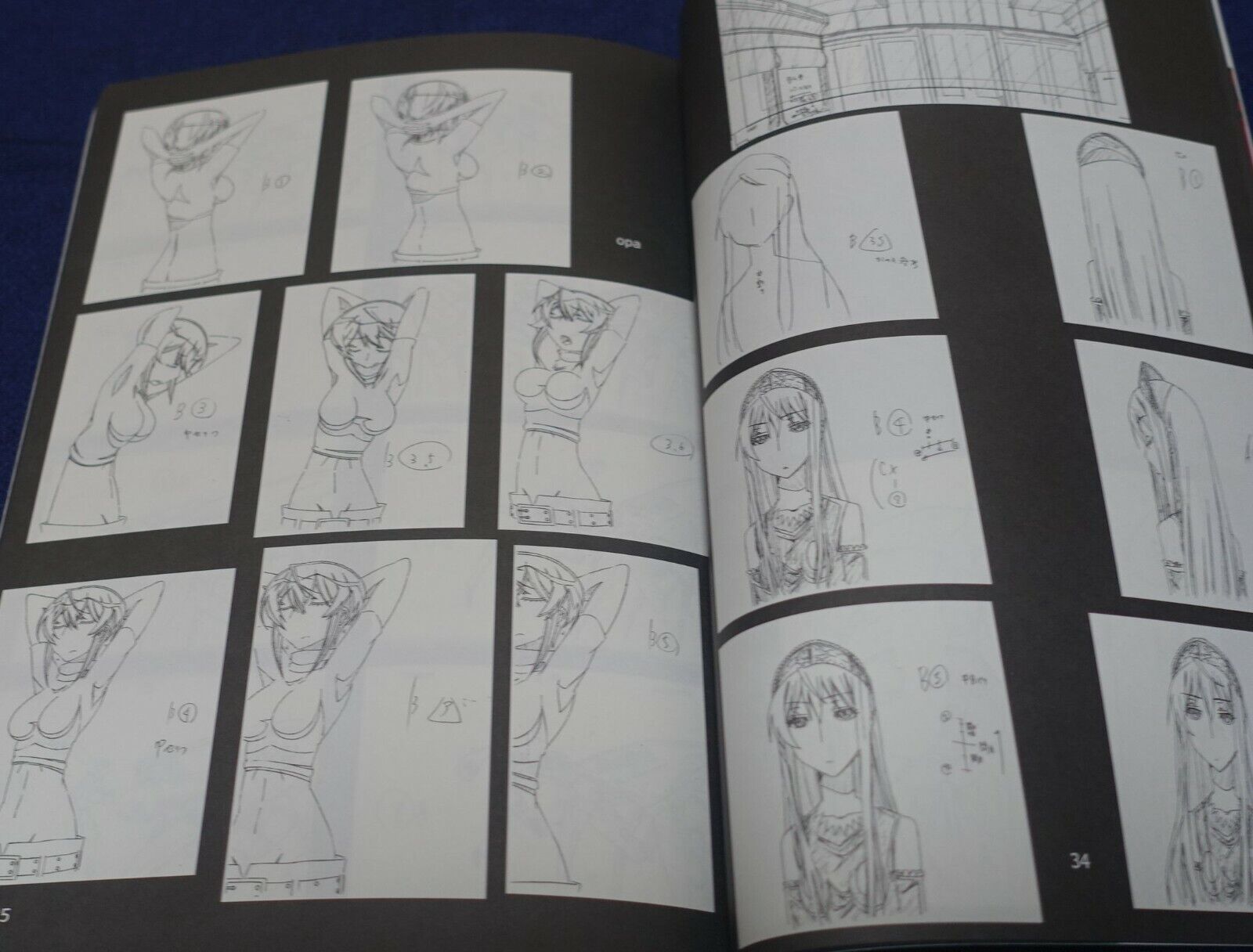 Animation Princess Resurrection Key Frame & Staff Art Book vol.2 