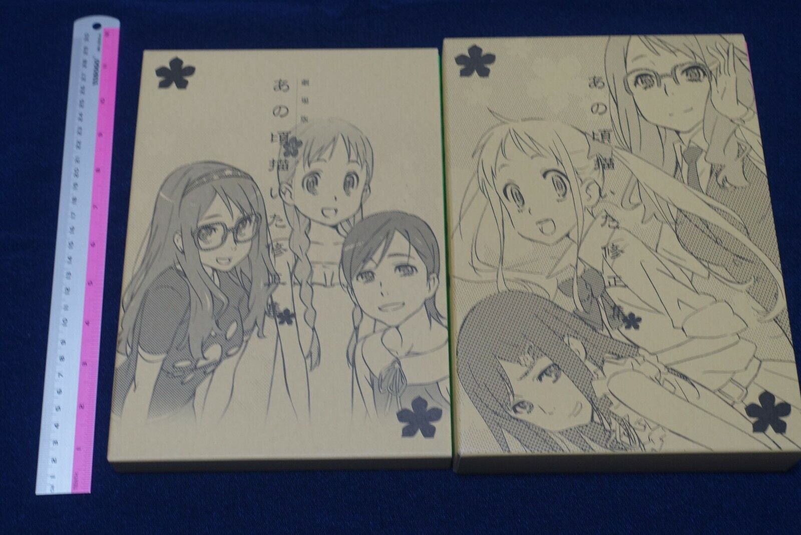Masayoshi Tanaka Anohana The Flower We Saw That Day Key Frame & Design Book Set 