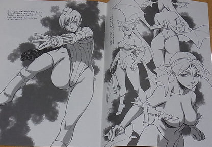 Refuge fighting game characters fan art Book EH20181230 C95 