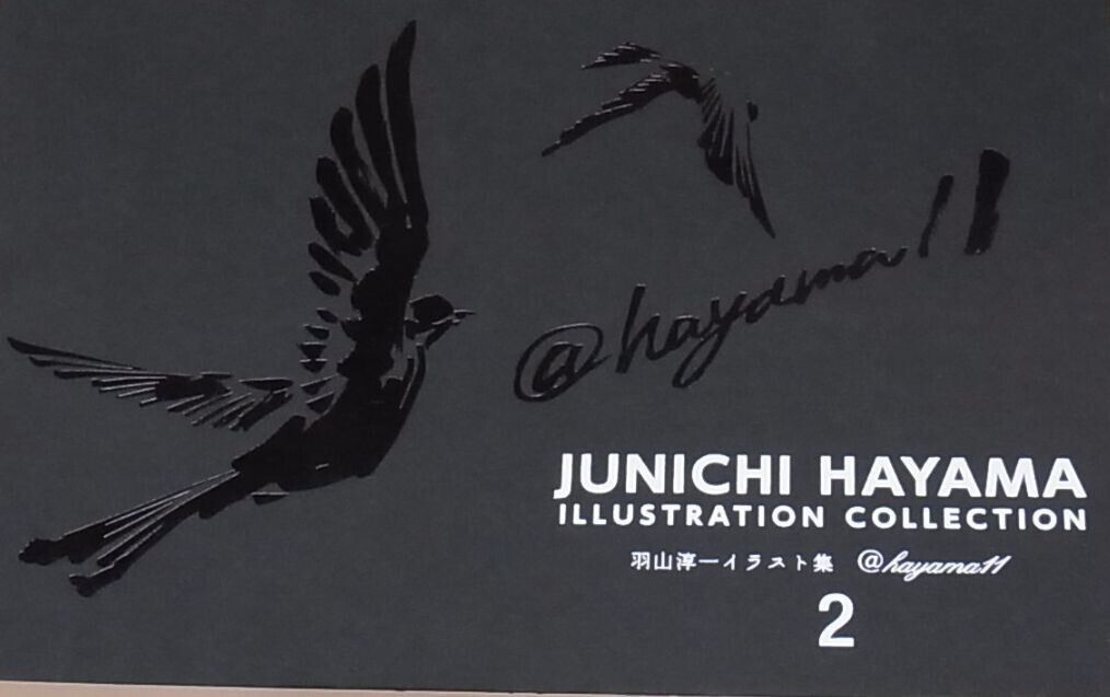 JUNICHI HAYAMA ILLUSTRATION COLLECTION 1 , 2 , 4 set 