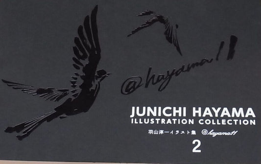 JUNICHI HAYAMA ILLUSTRATION COLLECTION 1 , 2 , 4 set 