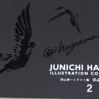 JUNICHI HAYAMA ILLUSTRATION COLLECTION 1 , 2 , 4 set 