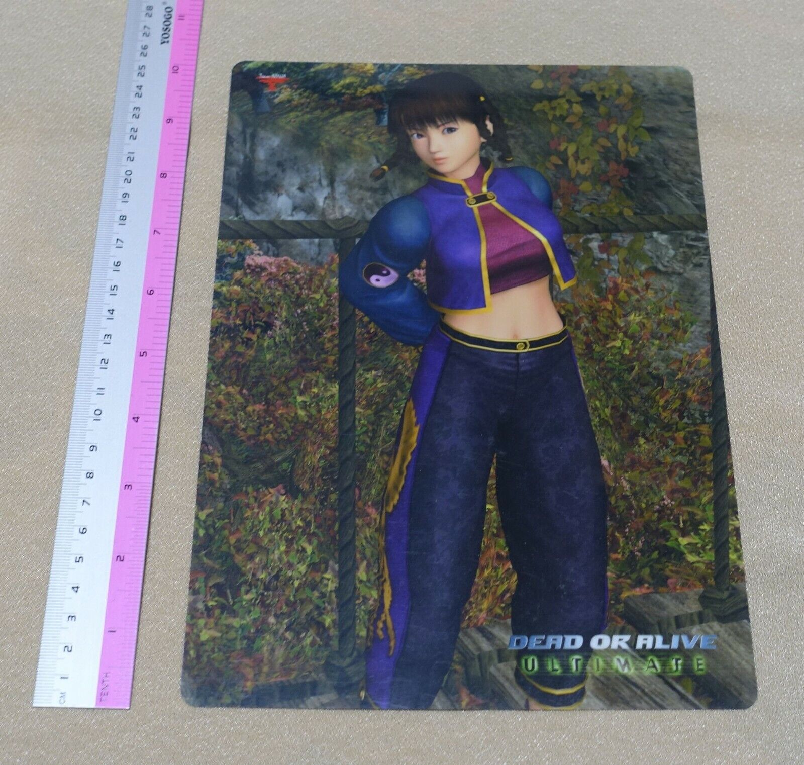 Dead or Alive ULTIMATE PVC Art Board Leifang 