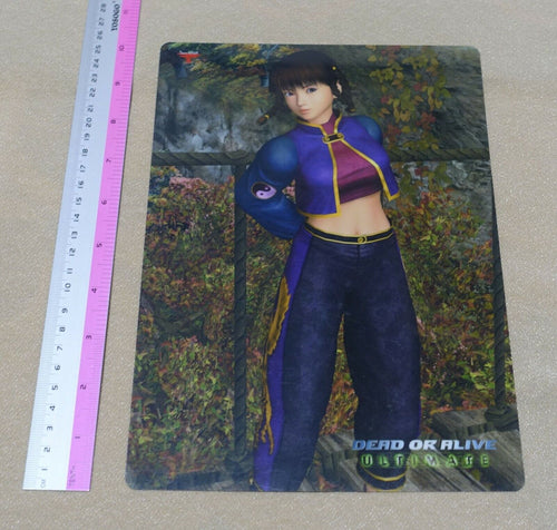 Dead or Alive ULTIMATE PVC Art Board Leifang 