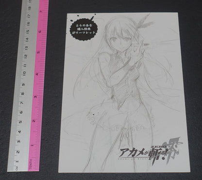 Akame ga Kill! Zero Rough Illustration Art Mini Booklet B 4page 