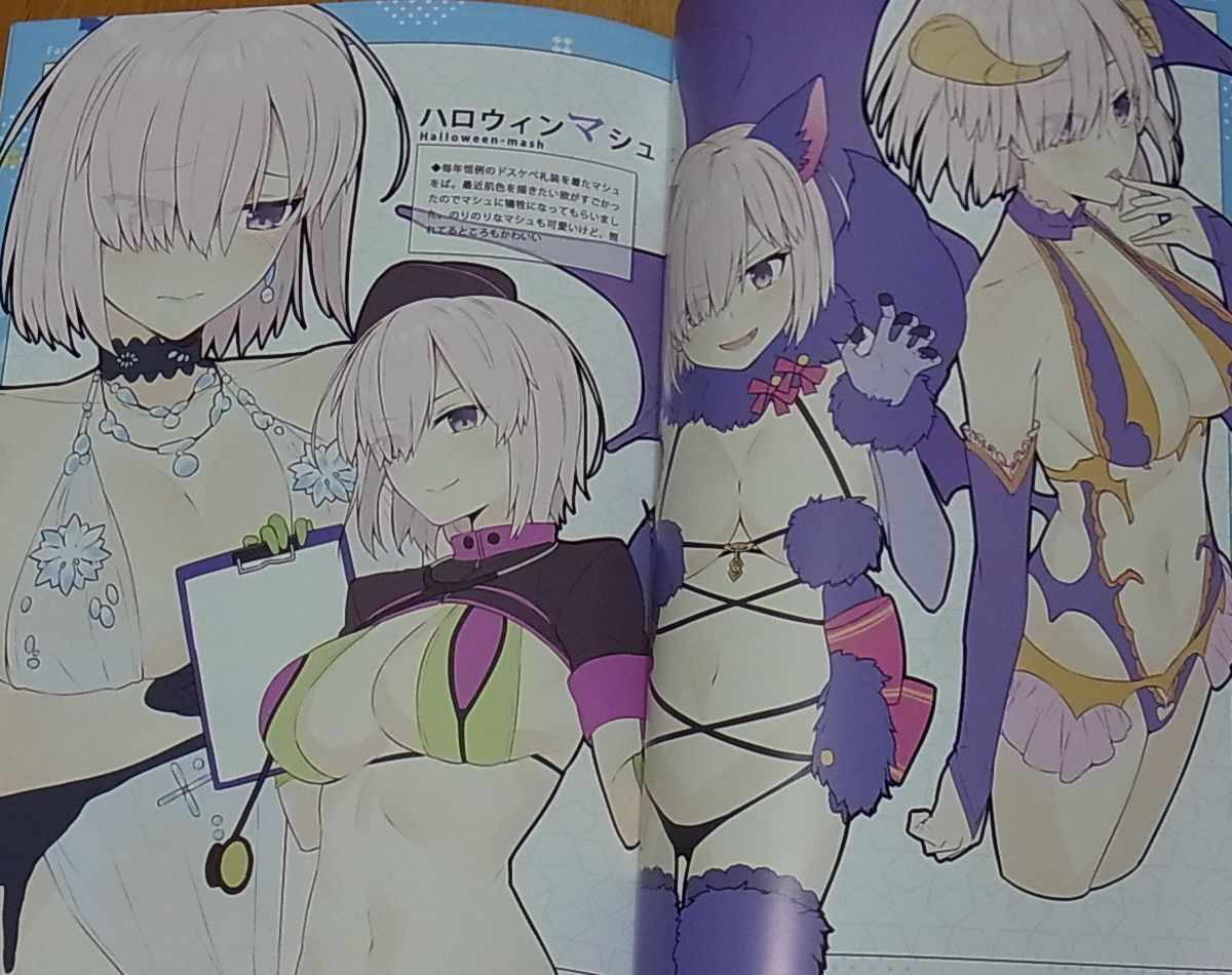 PALELIGHT Fate FGO Color Fan Art Book CHALDEA SKETCH Winter C95 