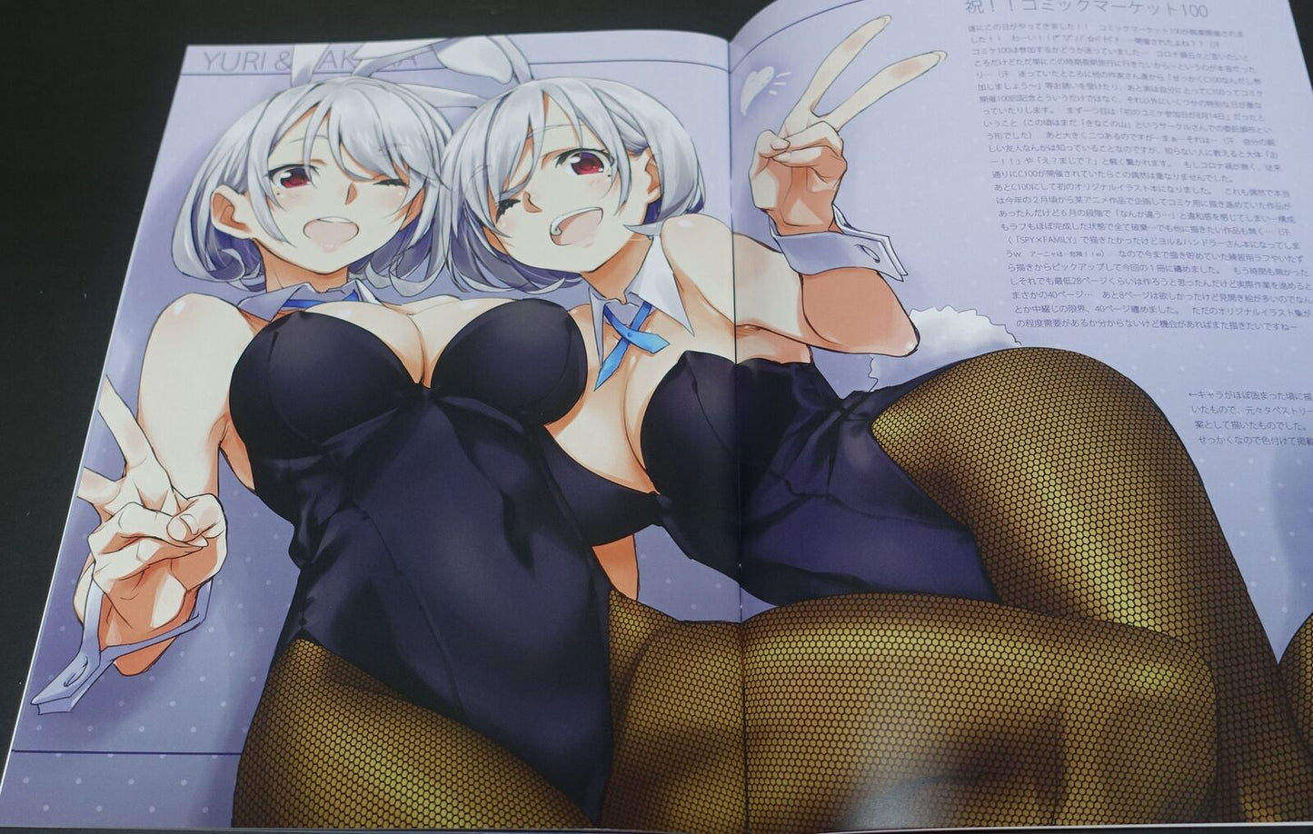 Tomoyasu Kurashima Okotanpeko Original Bunny Girl Art Book Iroiro Na Nanika C100 