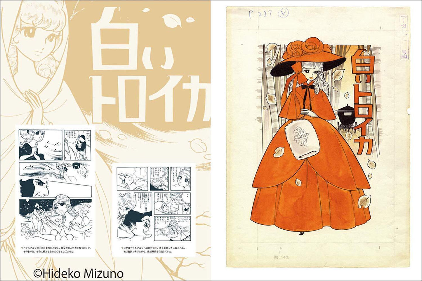 Gagyou 65th Hideko Mizuno Illustration Art Work Book Bara no Butokai 