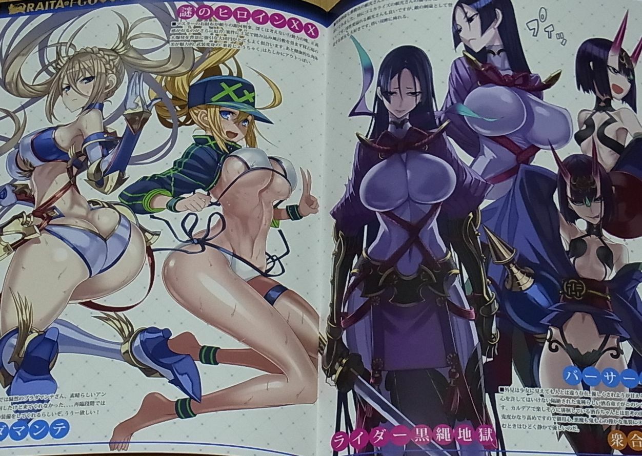 Honjou Raita Fate FGO Designer's Fan Art Book Rakugaki1-3 Complete Set Raikou 