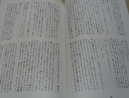 Revue Starlight Fan Novel Doujinshi Set 