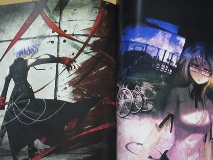 STEINS GATE ILLUSTRATIONS COLLECTION Art & Comic , Novel Huke etc 
