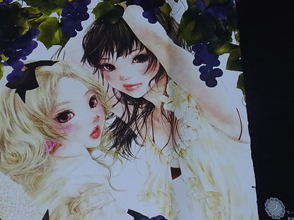 SHIHO ENTA COLOR ART BOOK Kiseki 2 VERY RARE 
