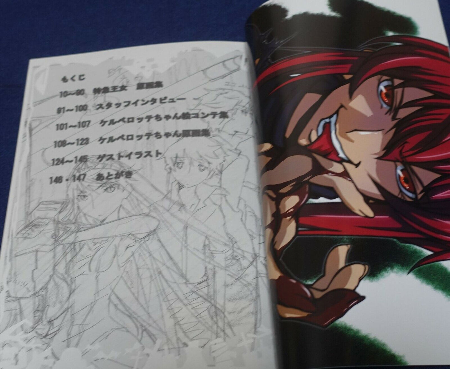 Animation Princess Resurrection Key Frame & Staff Art Book vol.2 