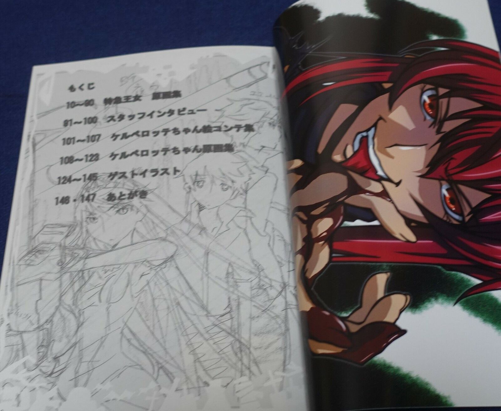 Animation Princess Resurrection Key Frame & Staff Art Book vol.2 