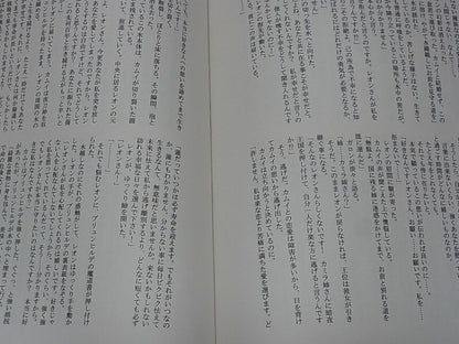 Kurage Fire Emblem Fates Leon & Kamui FAN Doujinshi Novel Aoi Kizuna 
