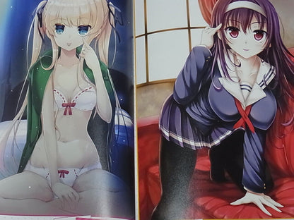 Saekano How to Raise a Boring Girlfriend Another Creator Visual Fan Book 