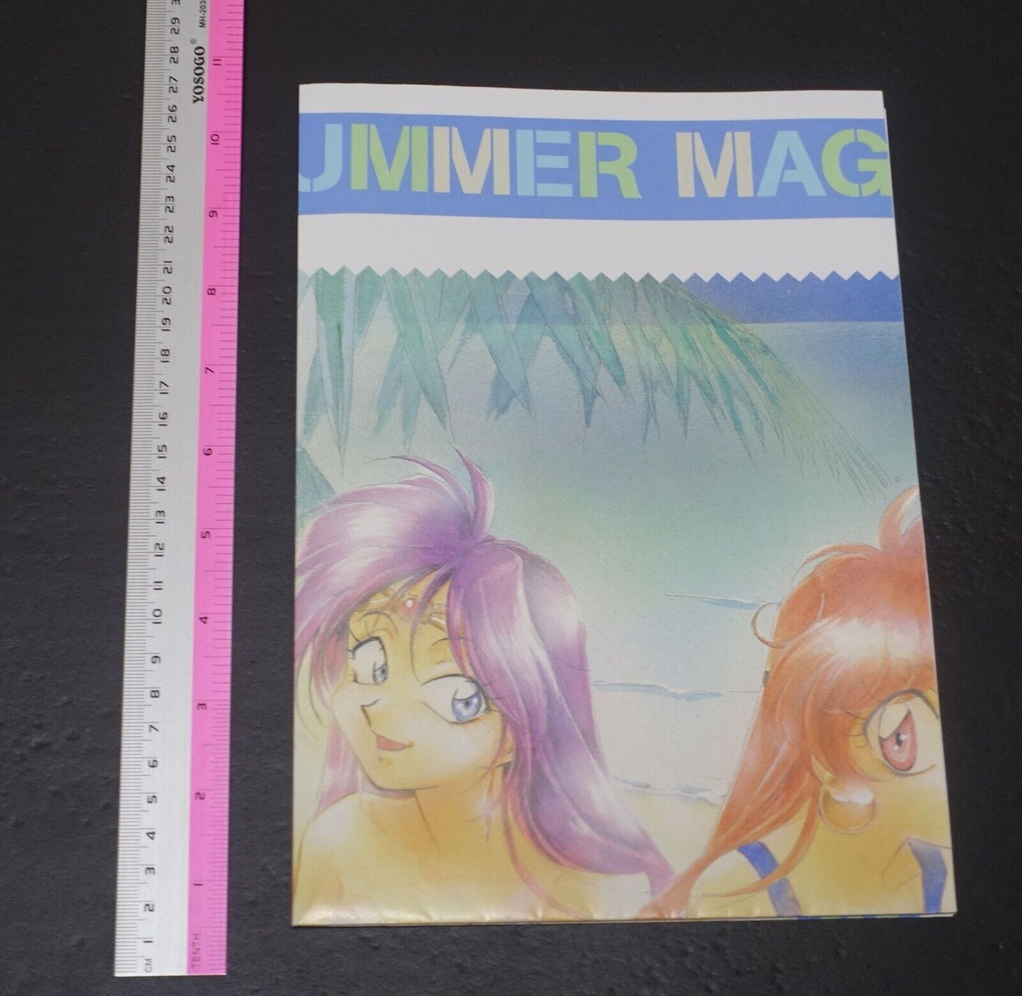 The Slayers MAGICAL SUMMER Poster Lina & Naga 