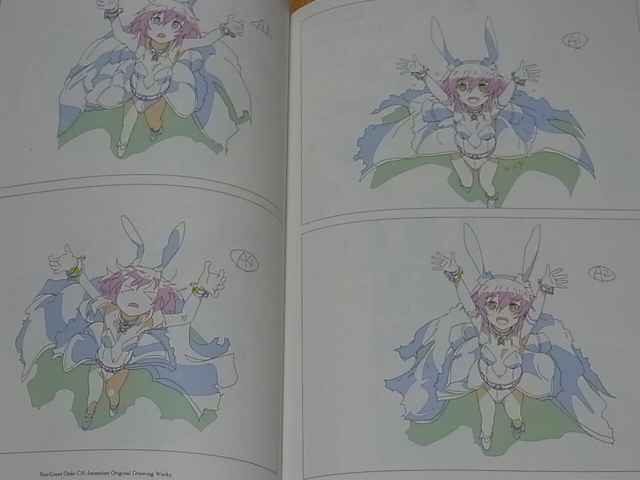 Mayutokage Fate Grand Order CM Animation Original Drawing Works FGO Key Frame 
