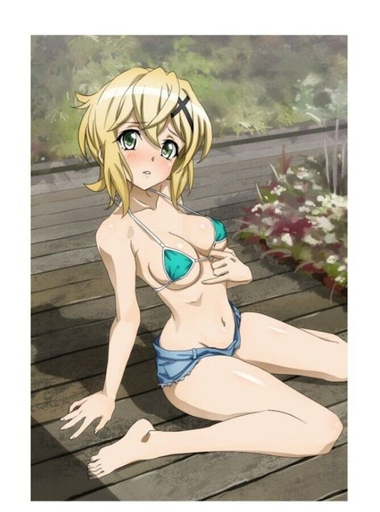 Hanagara Shirt Symphogear Color Fan Art Book SWIMSUIT UNDER CLOTHES Pre-Order 