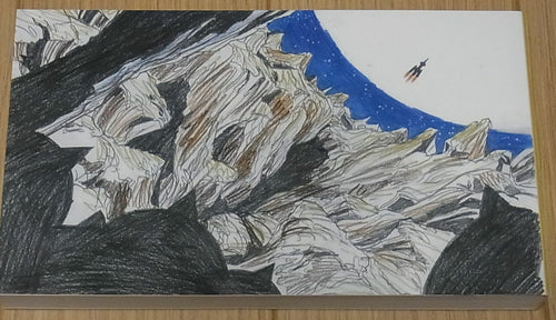 Yoshimichi Kameda Original Flip Book 