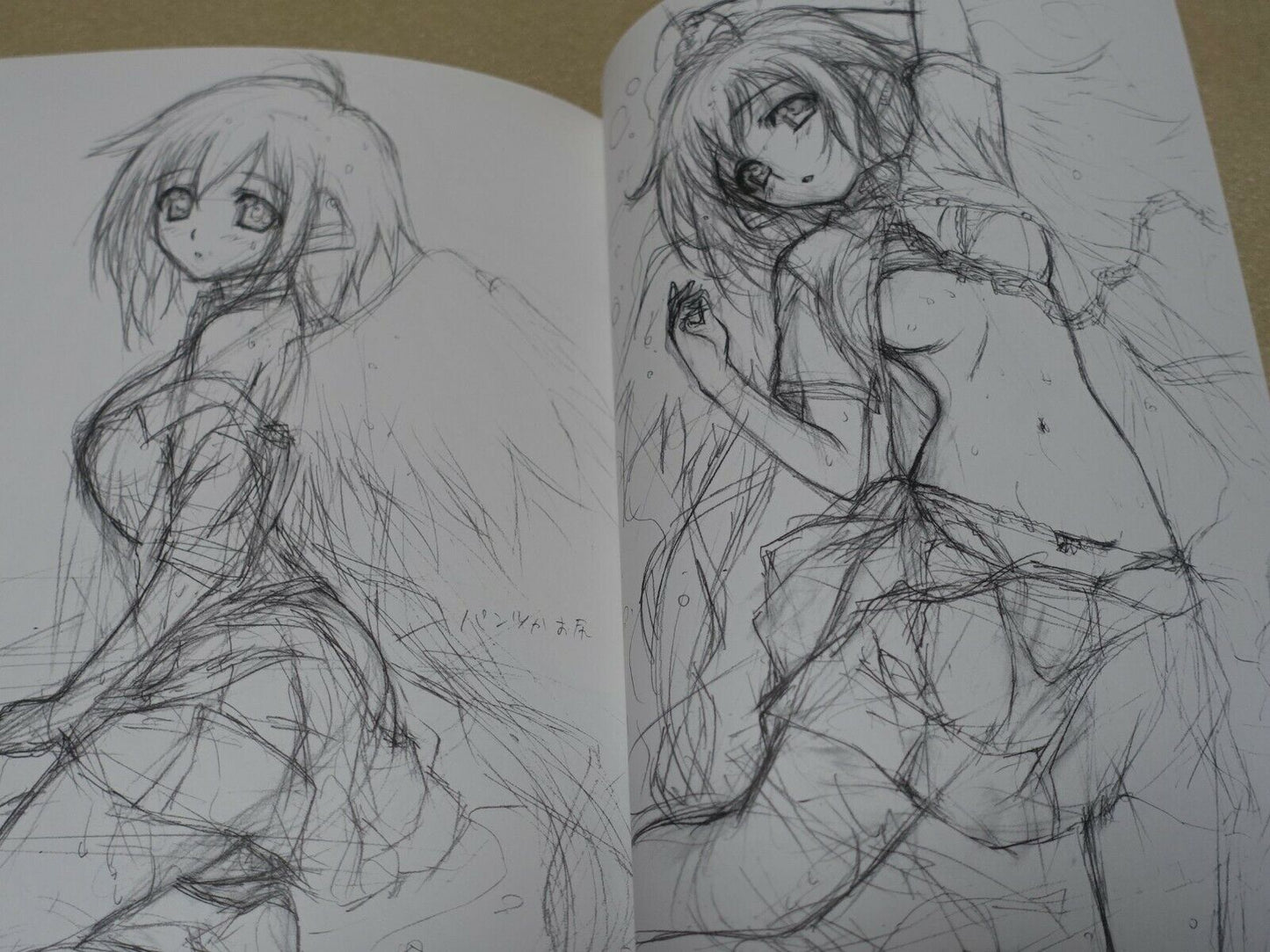 Yoshihiro Watanabe Heaven's Lost Property Director's Art Work Book Soraoto 