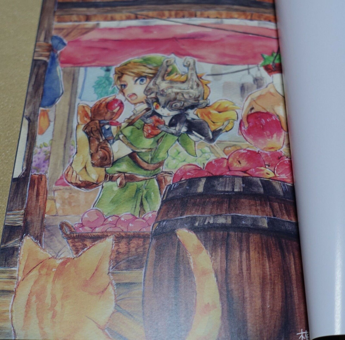 LEGEND OF ZELDA Twilight Princess FAN ANTHOLOGY Doujinshi Hikari no Utsuwa 