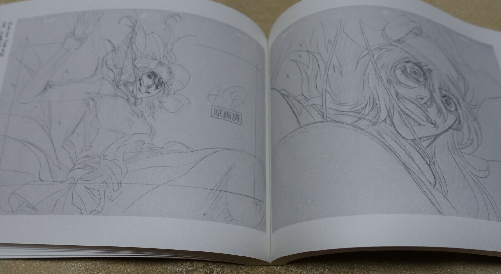 RYOJI NAKAMORI WORKS 2007-2009 HELLSING 4-6 Key Frame art collection book 