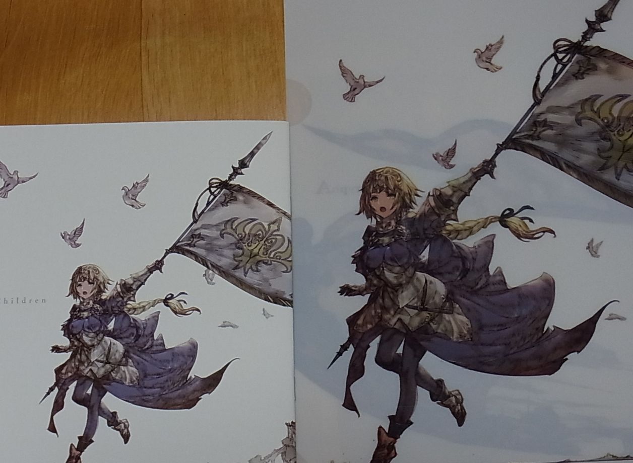 Raita Kazama Fate FGO Color Fan Art Book Cobalt Children with Clear File C95 