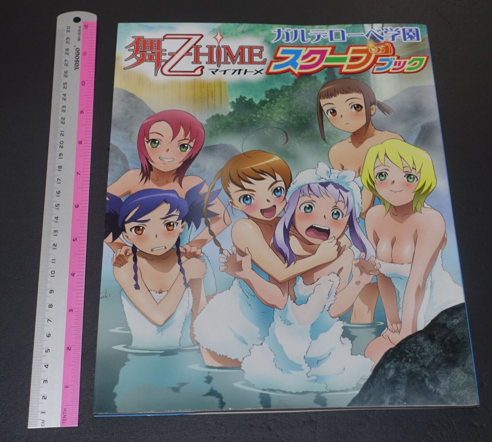Mai-Otome Official Visual Art Book Garderobe Scoop Book Mai-Hime 