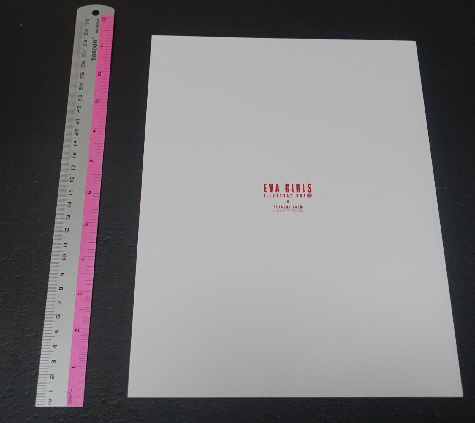 Castlism EVANGELION Fan Art Book EVA GIRLS ILLUSTRATIONS 5 