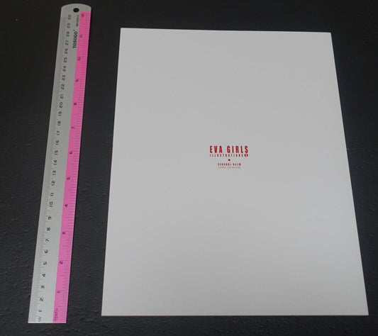 Castlism EVANGELION Fan Art Book EVA GIRLS ILLUSTRATIONS 5 