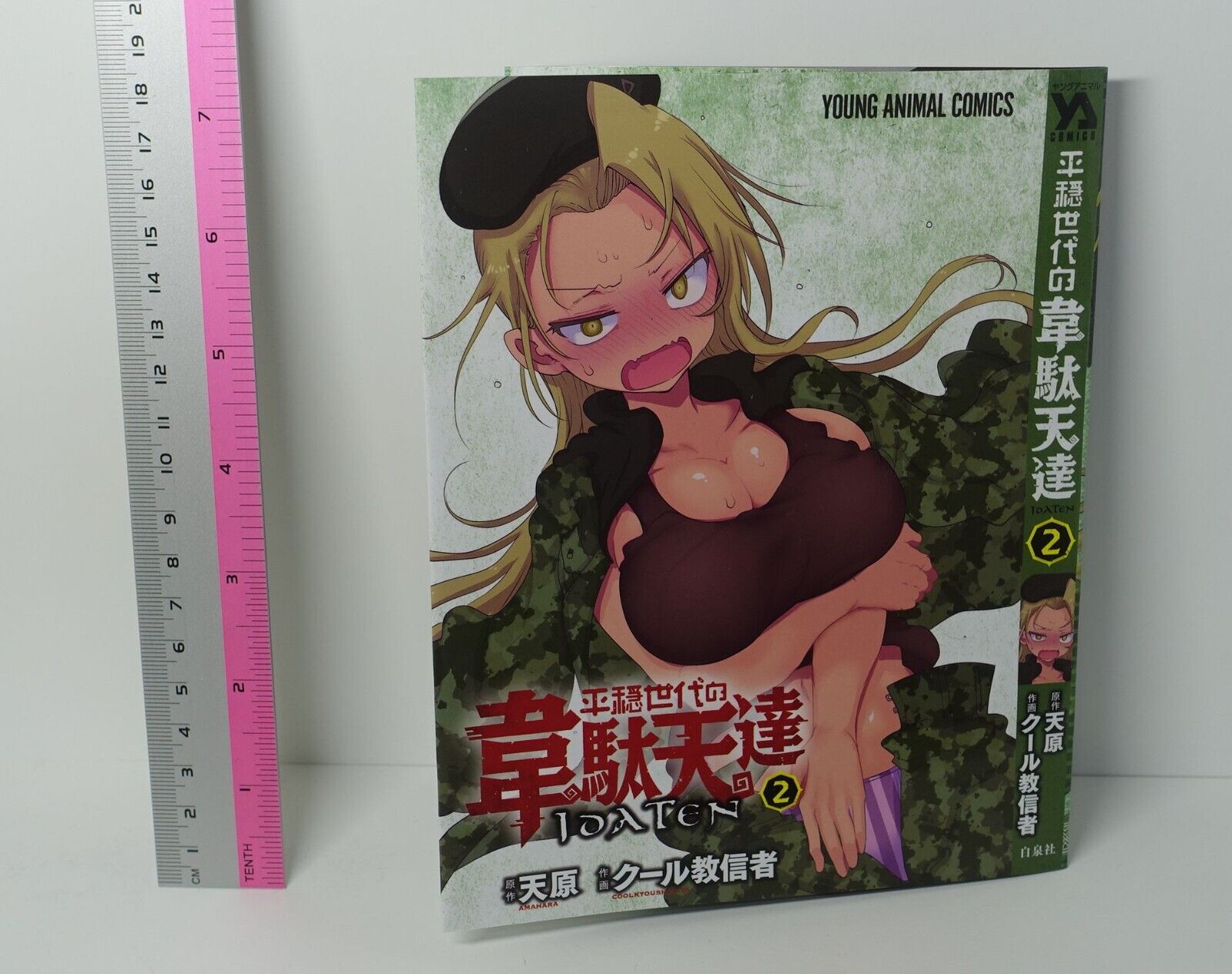Heion Sedai no Idaten-tachi Comic vol.2 Book Cover Special ver 